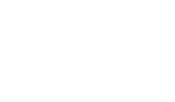 Bomex Racing